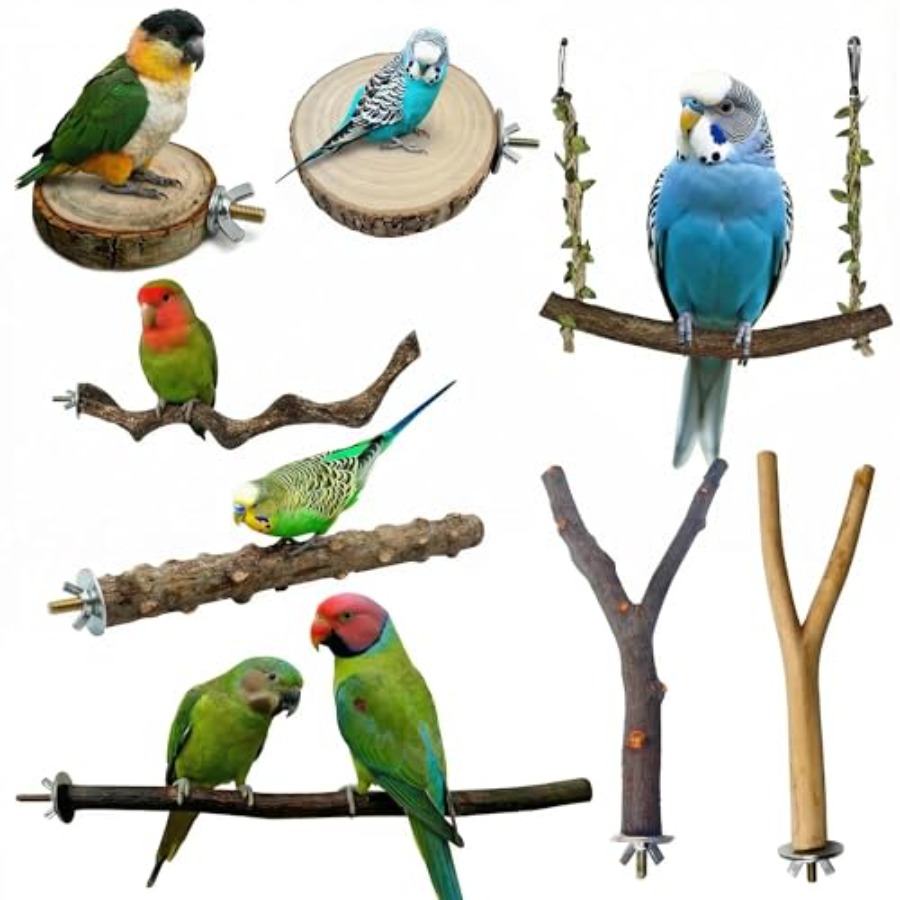 8 stuks natuurlijke houten vog - Health & Wellness Unlimited recensie en prijs